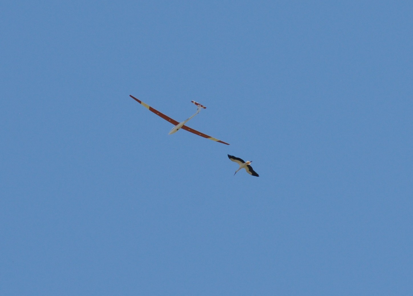 Foto 01.05.26, 14 12 51